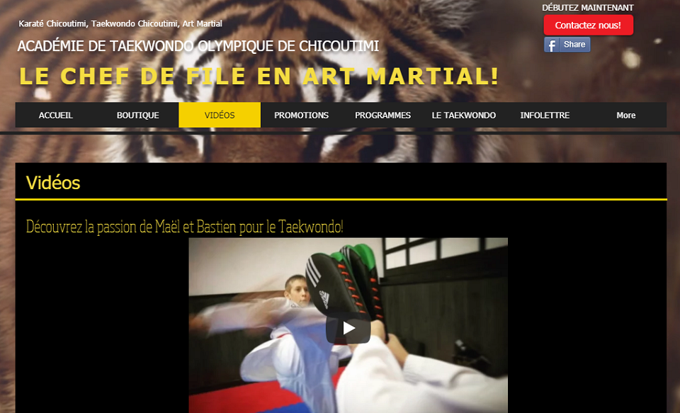 Académie de Taekwondo Olympique de Chicoutimi en Ligne 