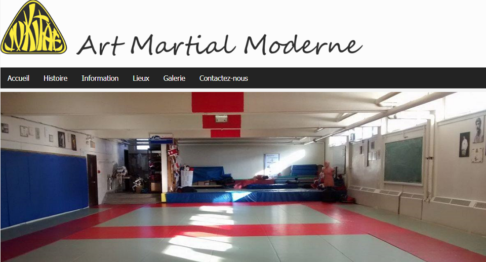 Art Martial Moderne en Ligne 