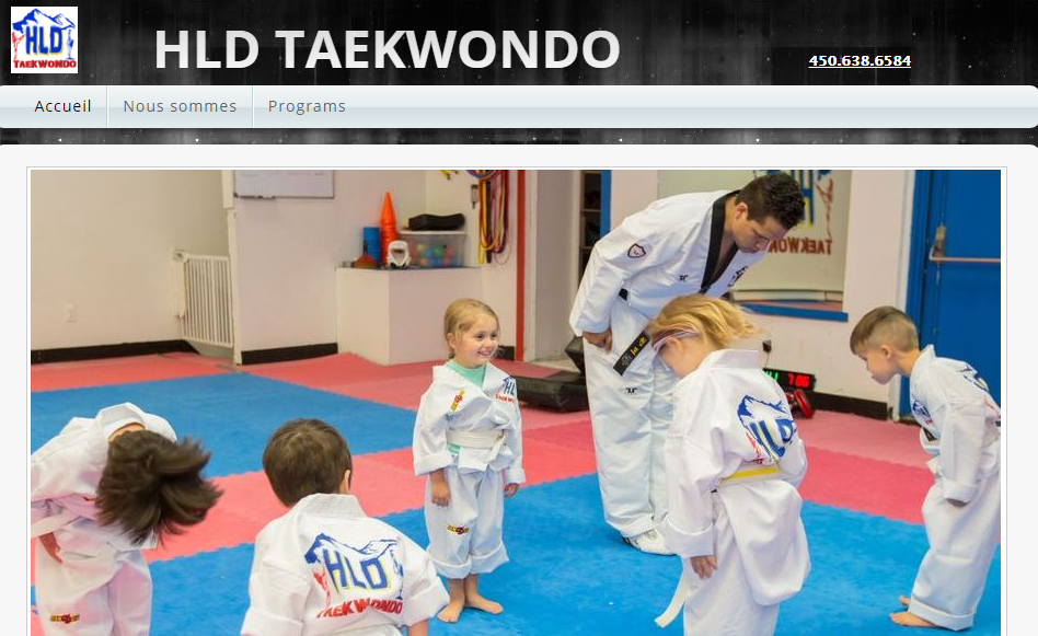 HLD Taekwondo en Ligne 